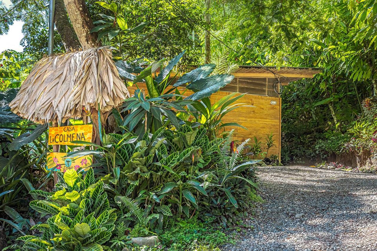 Bee Happy Studio Cahuita Zewnętrze zdjęcie