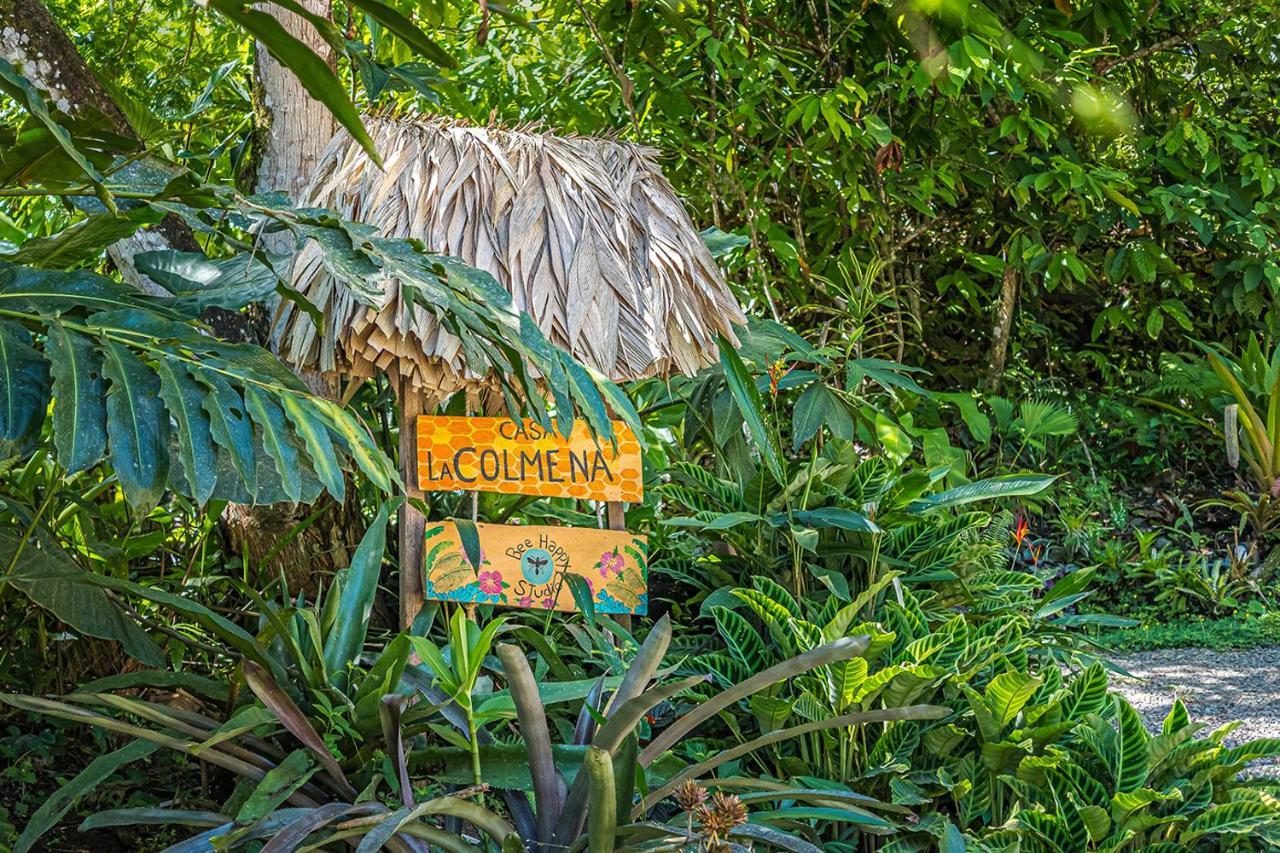 Bee Happy Studio Cahuita Zewnętrze zdjęcie